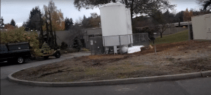 Stump Grinding Seattle