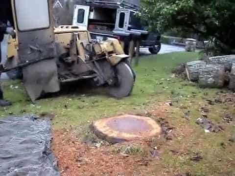 Stump Grinding Service
