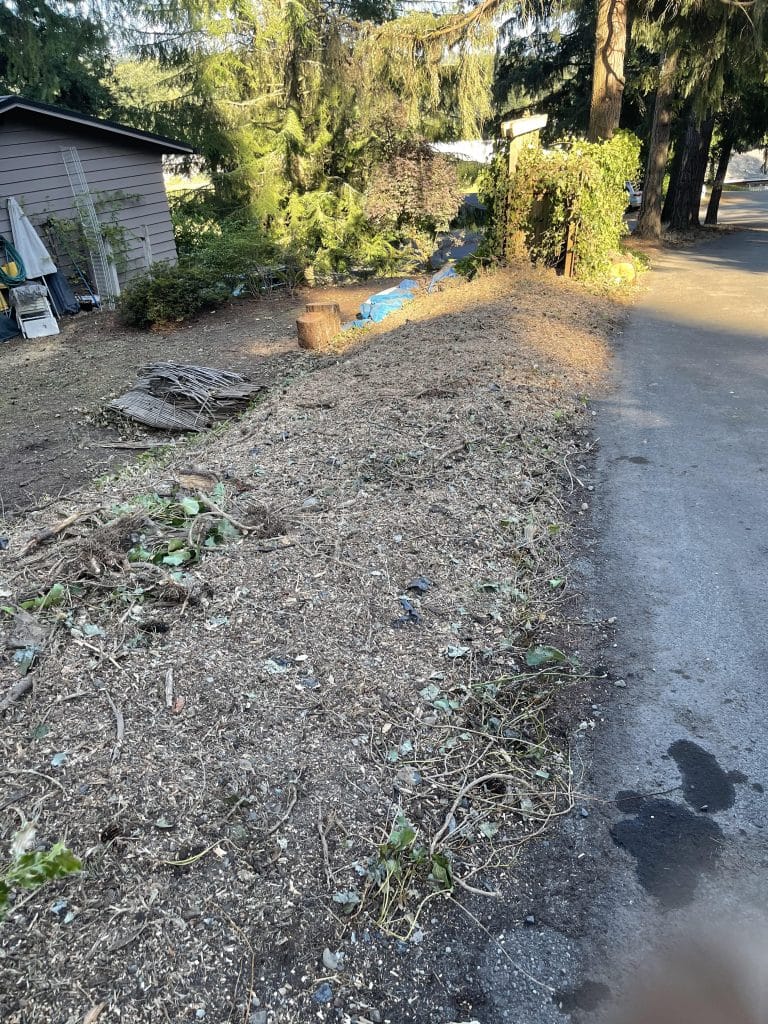After stump grinding project Bothell