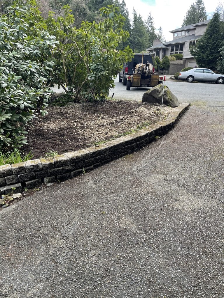 After grinding stumps in raised garden area