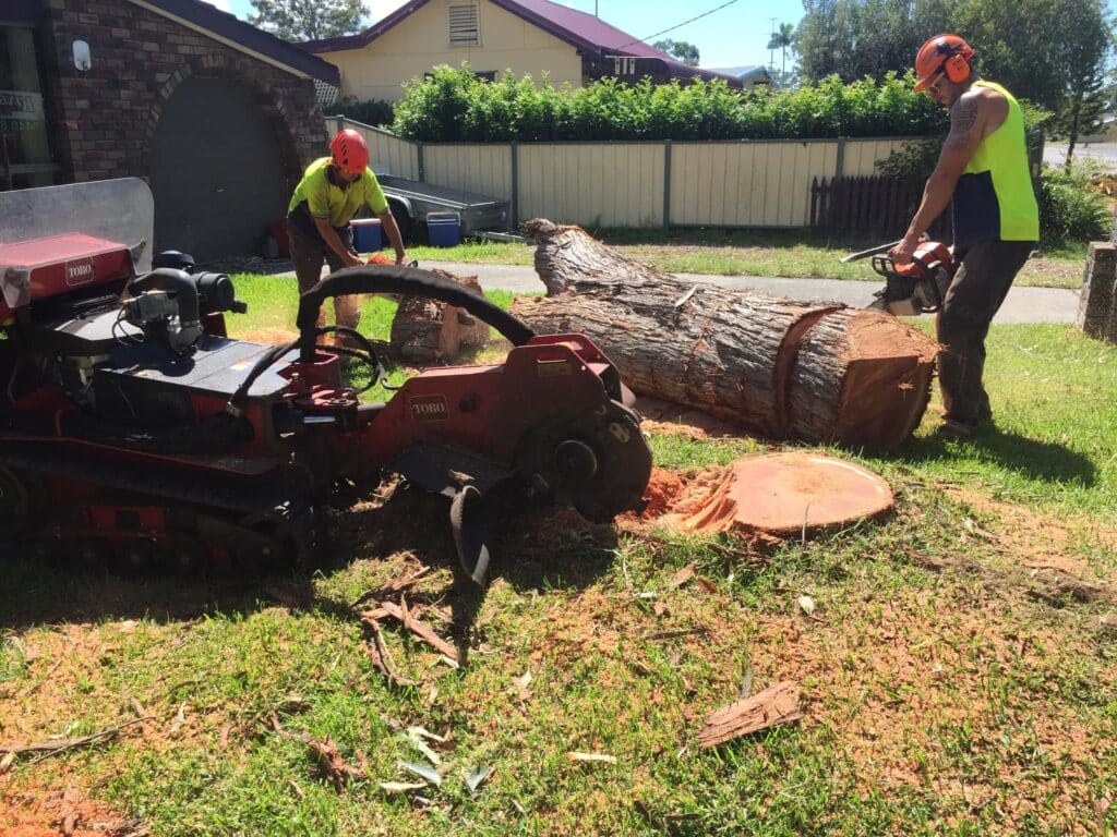 Stump Grinding