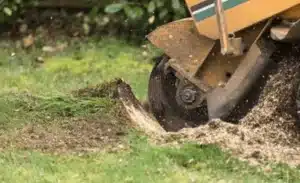 How deep can a stump grinder go