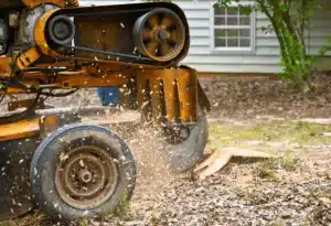 Stump Grinding