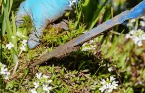 Deep Root Fertilization