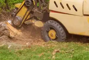Sno King Stump Grinding