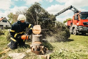Cutting Costs on DIY Stump Grinding | Save 75% Without Skimping on Thoroughness