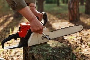 Professional Stump Grinding Service: Costs, Process & When To Hire