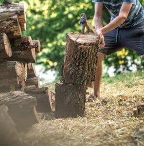 How Long Does Stump Grinding REALLY Take? | Stump Grinding Durations Explained