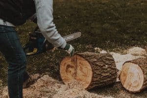 Grind Yourself a Deal? When to Tackle Stump Removal (and When to Call the Pros