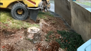 Benefits of Pro Stump Grinding