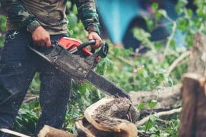 Choose the Right Stump Grinder