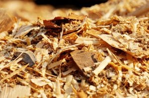 How to Dispose of Stump Grinding Chips: Eco-Friendly Solutions