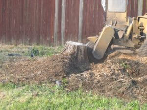 How to Expand Your Stump Grinding Services and Business: The Ultimate Growth Strategy