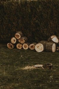 How to Find the Best Stump Grinding Services Near You | Comprehensive Guide for Hiring Top-Rated Local Pros