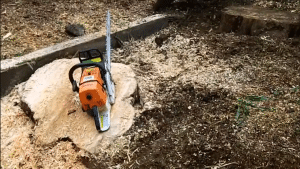 Stump Grinder Rental vs Hiring a Pro