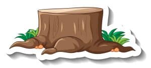 Why Stump Height Matters