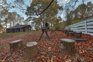 10 Creative Ideas to Turn Stumps into Garden Features | Repurpose Tree Stumps