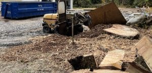 Understanding Stump Grinding Services: Transform Your Yard
