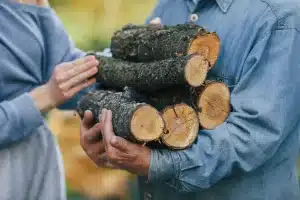 Safely Removing Tree Stumps