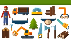 Types of Professional Stump Grinders