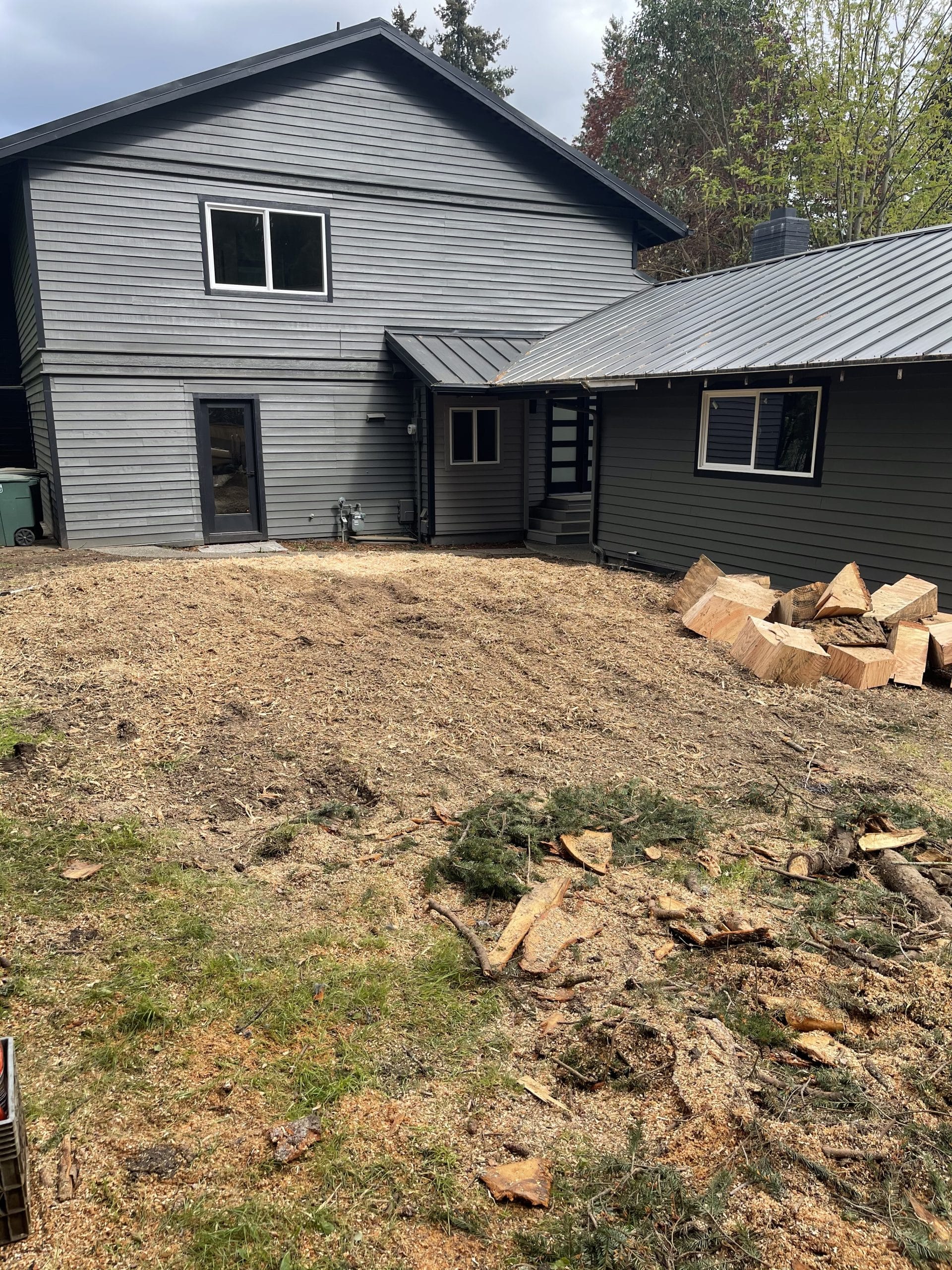 After stump grinding showing a clean below-grade finish in Bellevue WA