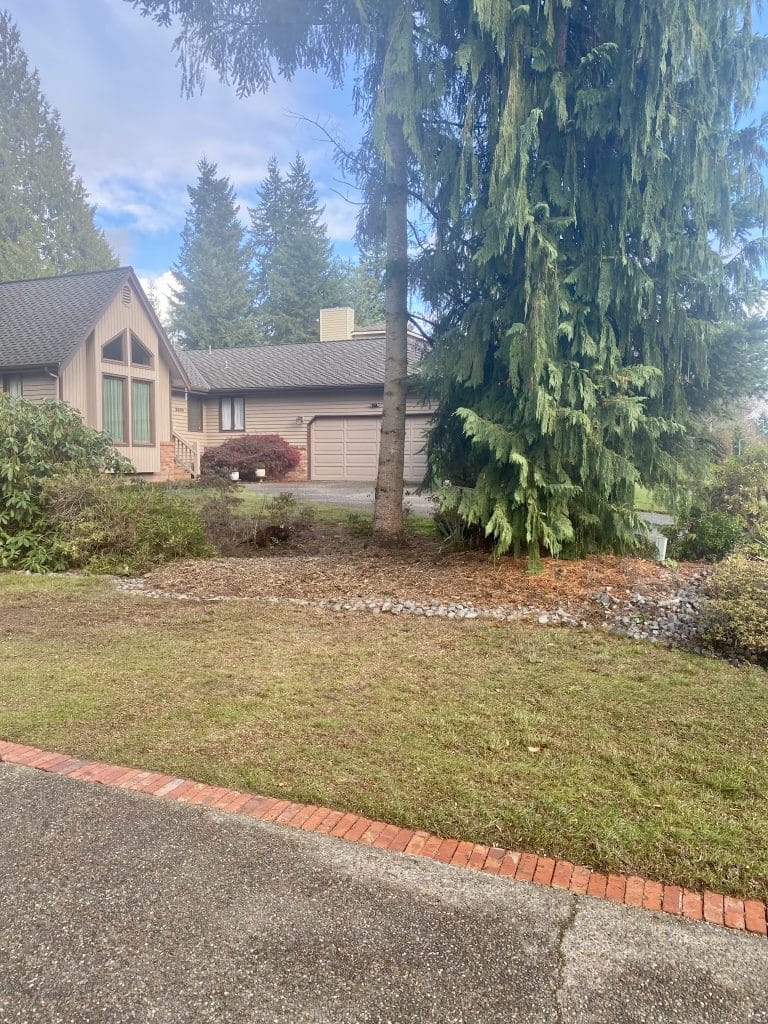 After tree removal and stump grinding in Bothell, WA by Sno King Stump Grinding