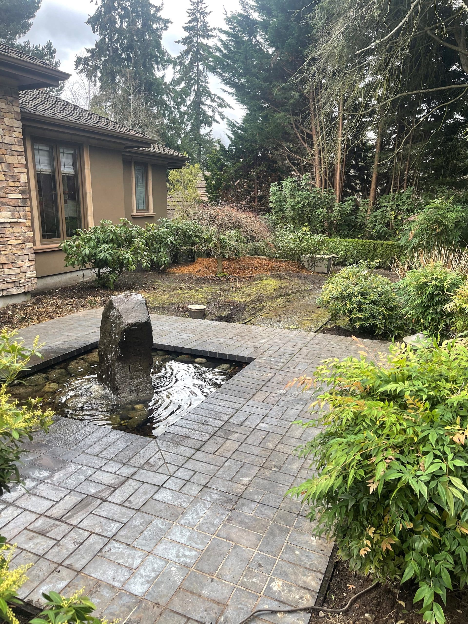 Stump grinding completed in Medina WA with immaculate cleanup and woodchips in a landscaped front yard