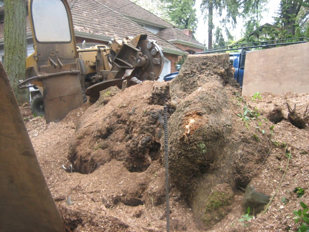Stump grinding equipment removing a large stump on a sloped hillside