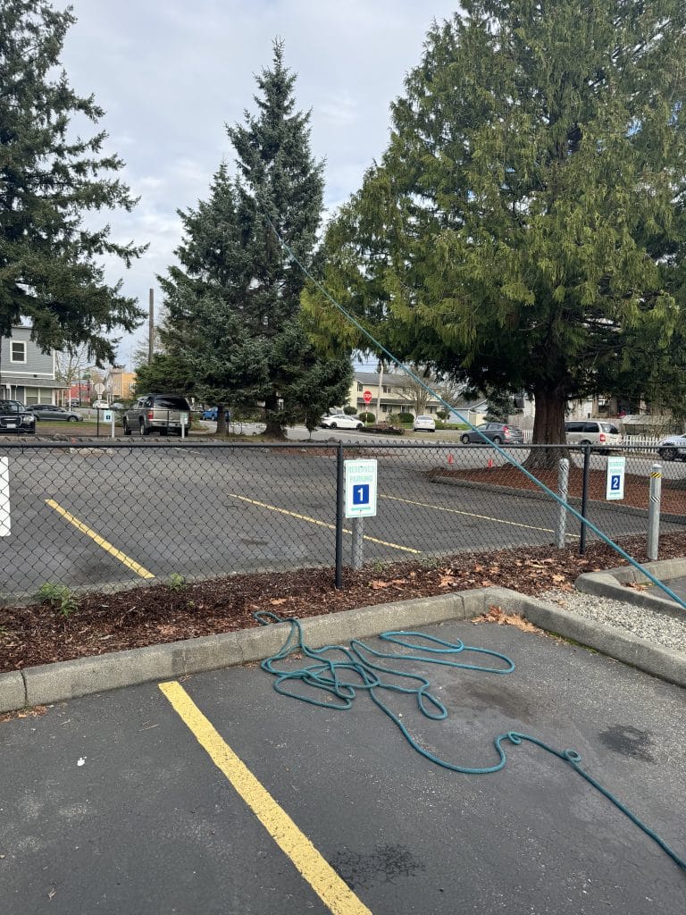Tree rigged with rope for removal in Bothell, WA by Sno King Stump Grinding