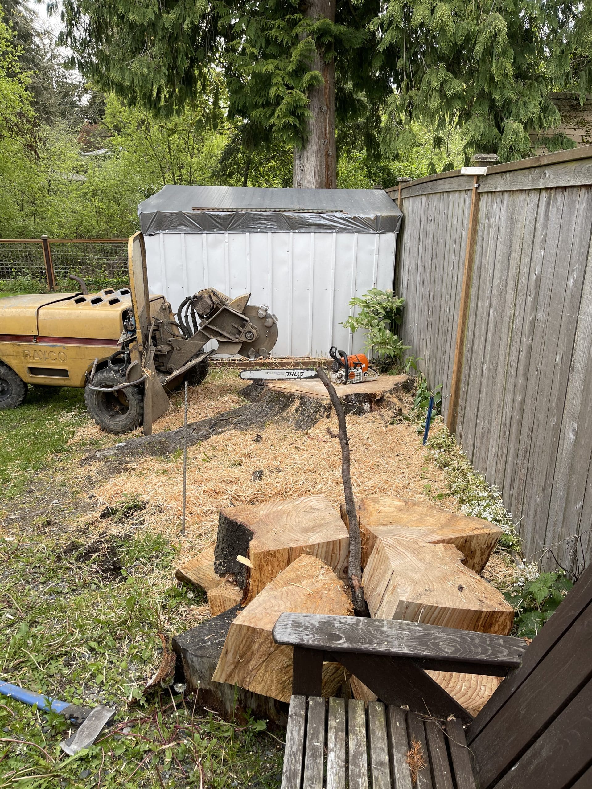 Backyard stump grinding in Edmonds, WA with grinder staged and sawed stump chunks