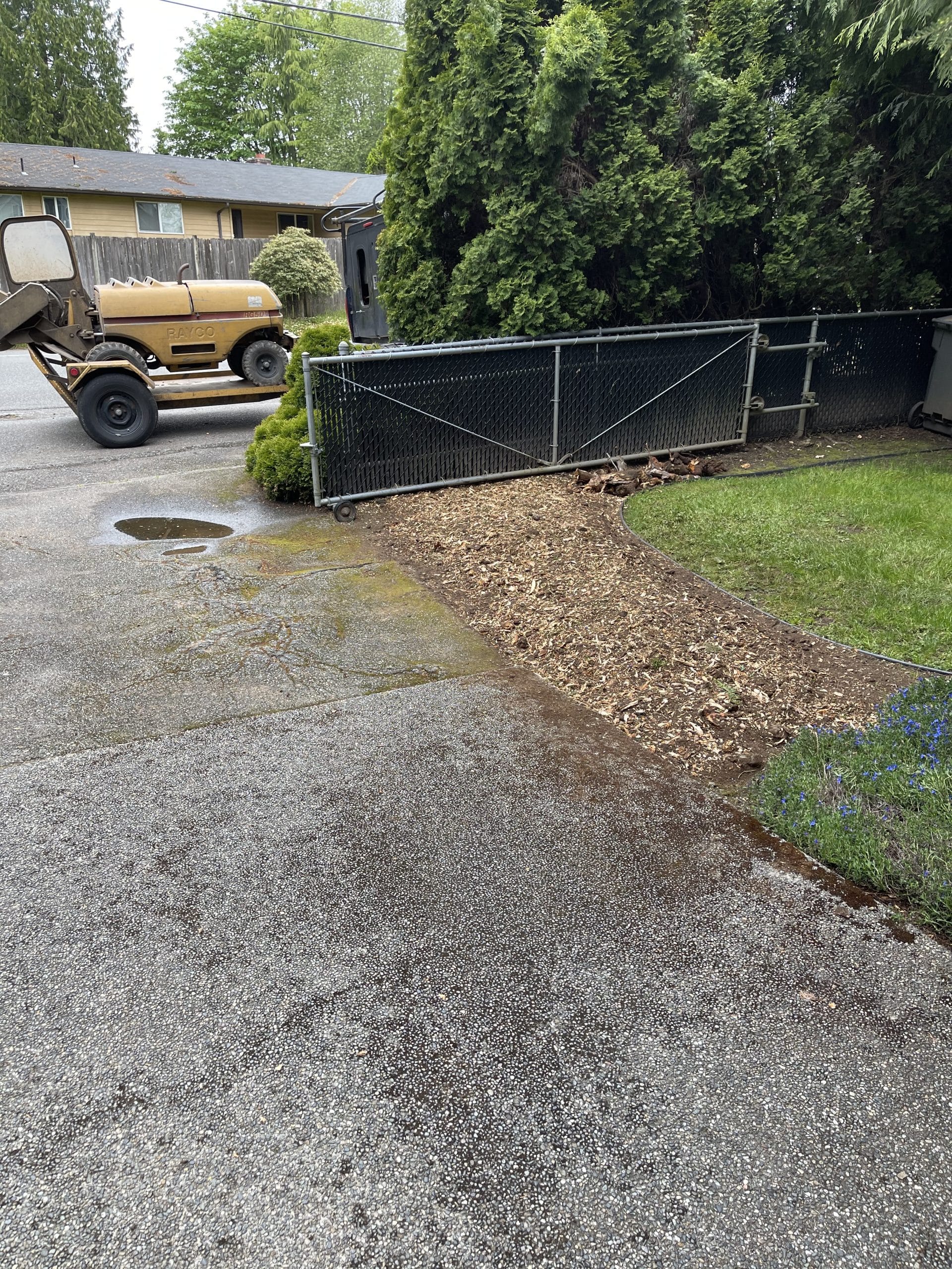 Finished stump grinding cleanup in Lynnwood with driveway and lawn area ready for repair