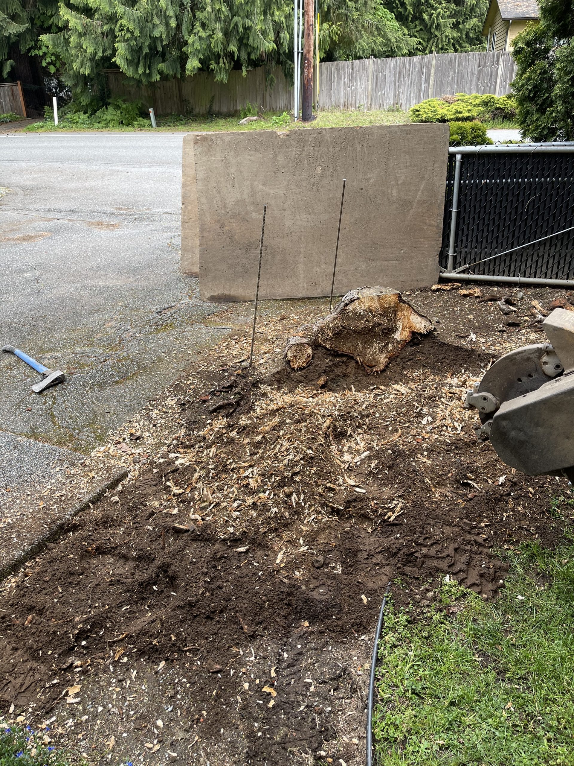 Lynnwood stump grinding along driveway with plywood barrier for precision and debris control