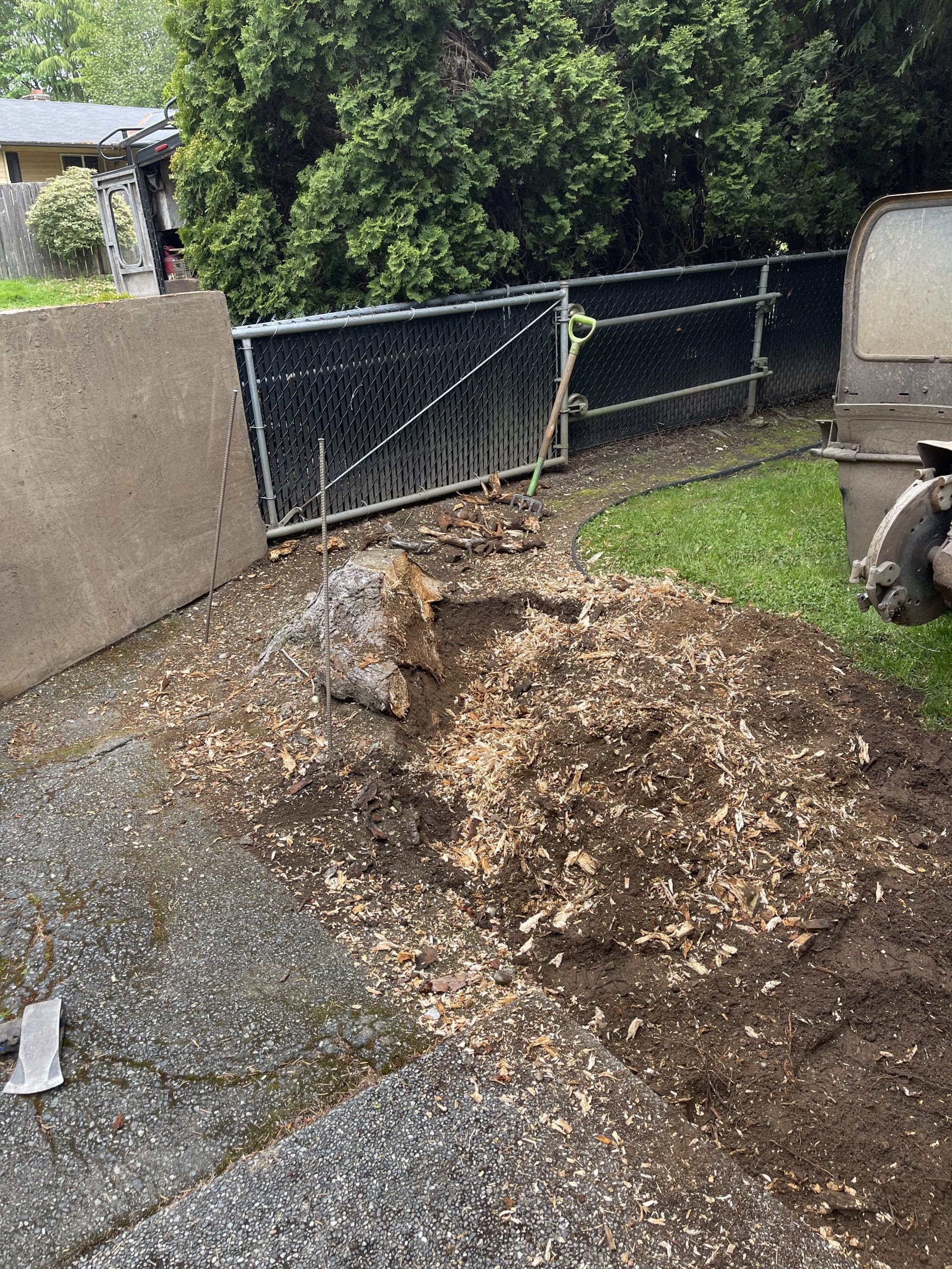 Lynnwood stump grinding along driveway with surface roots damaging asphalt before removal