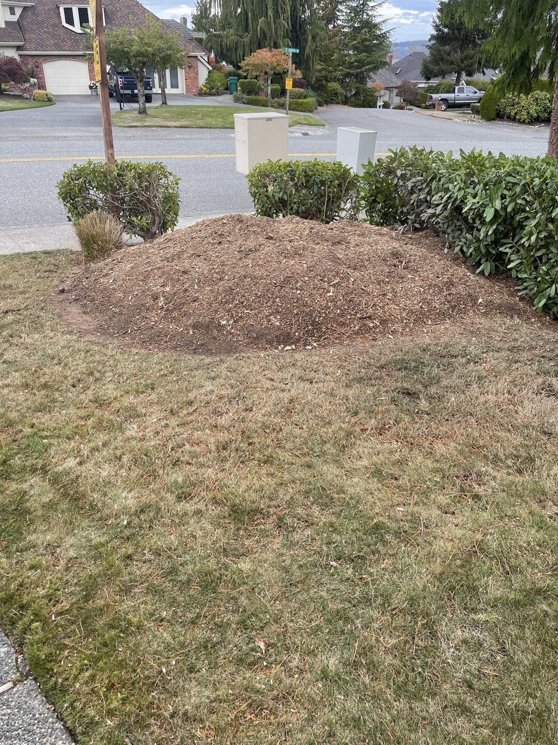 Finished stump grinding cleanup in Mukilteo Harbour Pointe with lawn area ready for repair