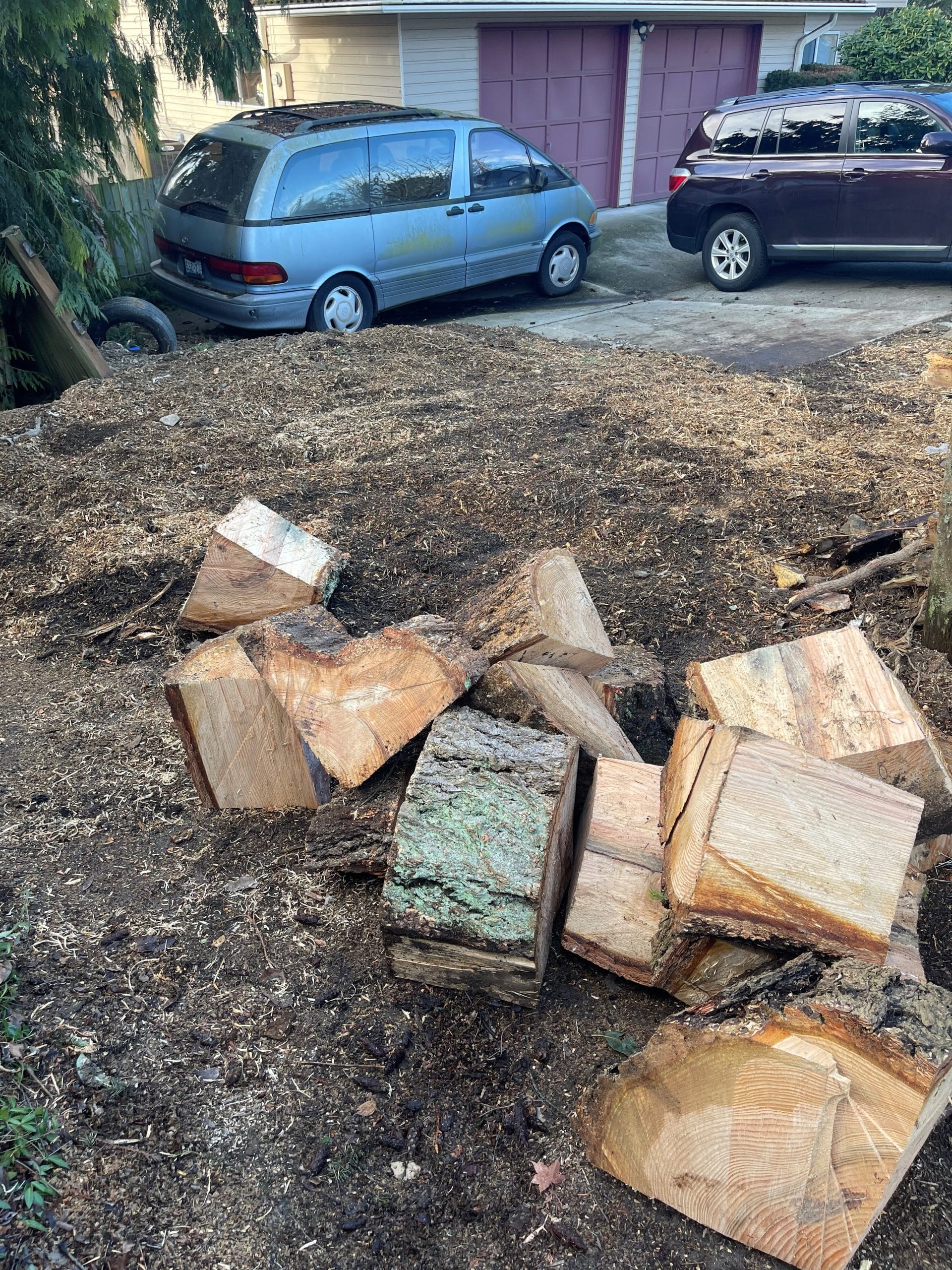 Finished stump grinding in Mukilteo after windstorm with driveway area clean and ready for repair
