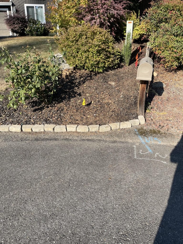 Surgical stump grinding around established gardens at a residential property