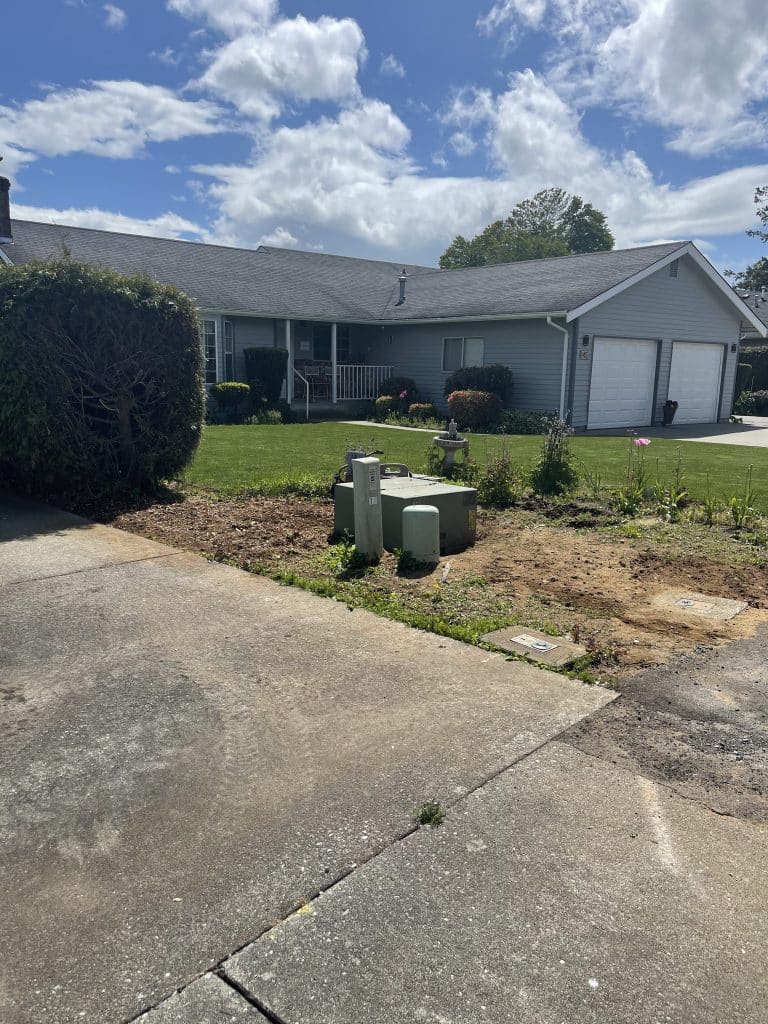 Safe stump grinding near dangerous underground utilities for city in conjunction with Puget Sound Energy