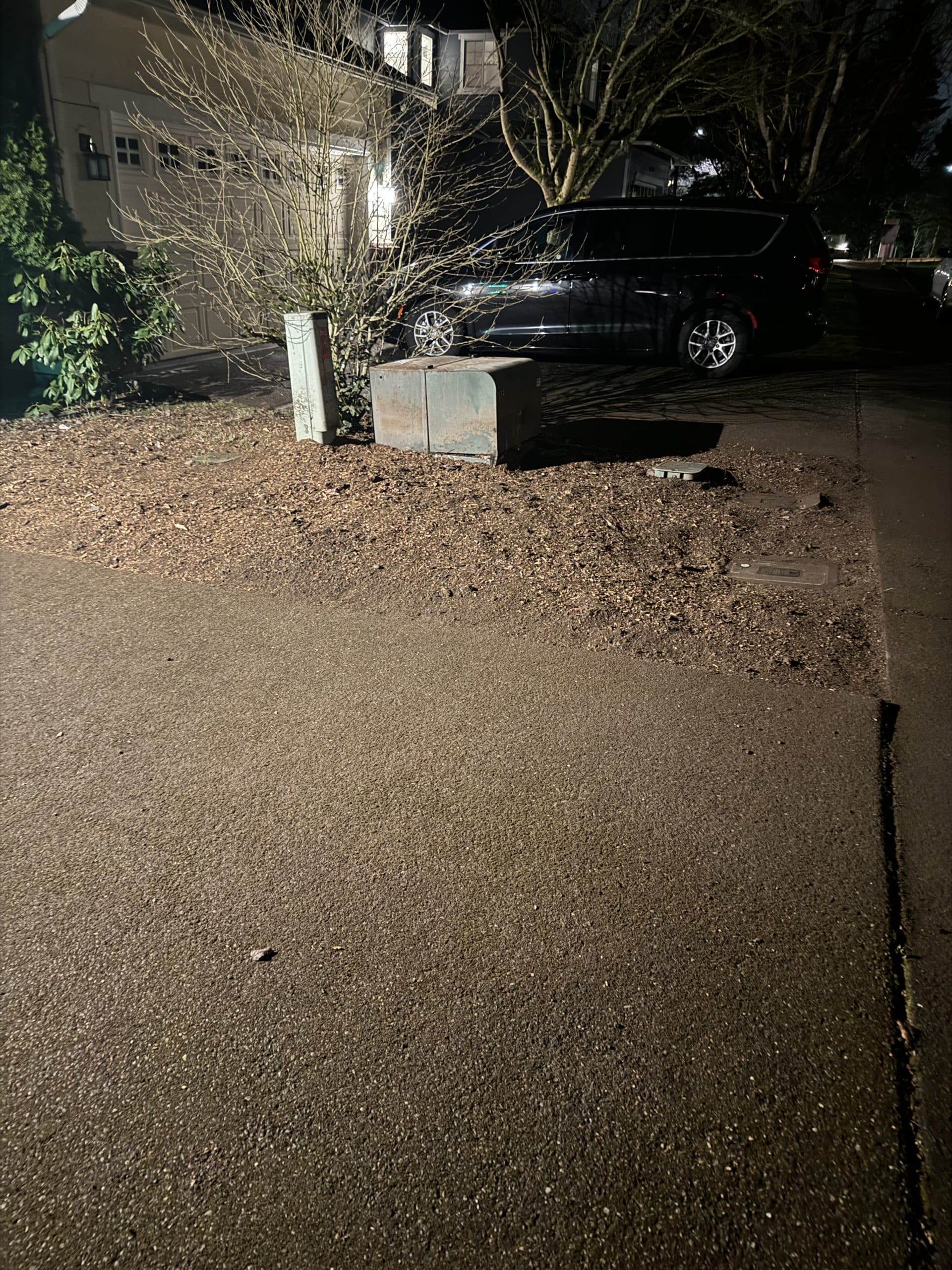 After stump grinding in Kirkland WA: utility vault access restored with surrounding underground utilities protected