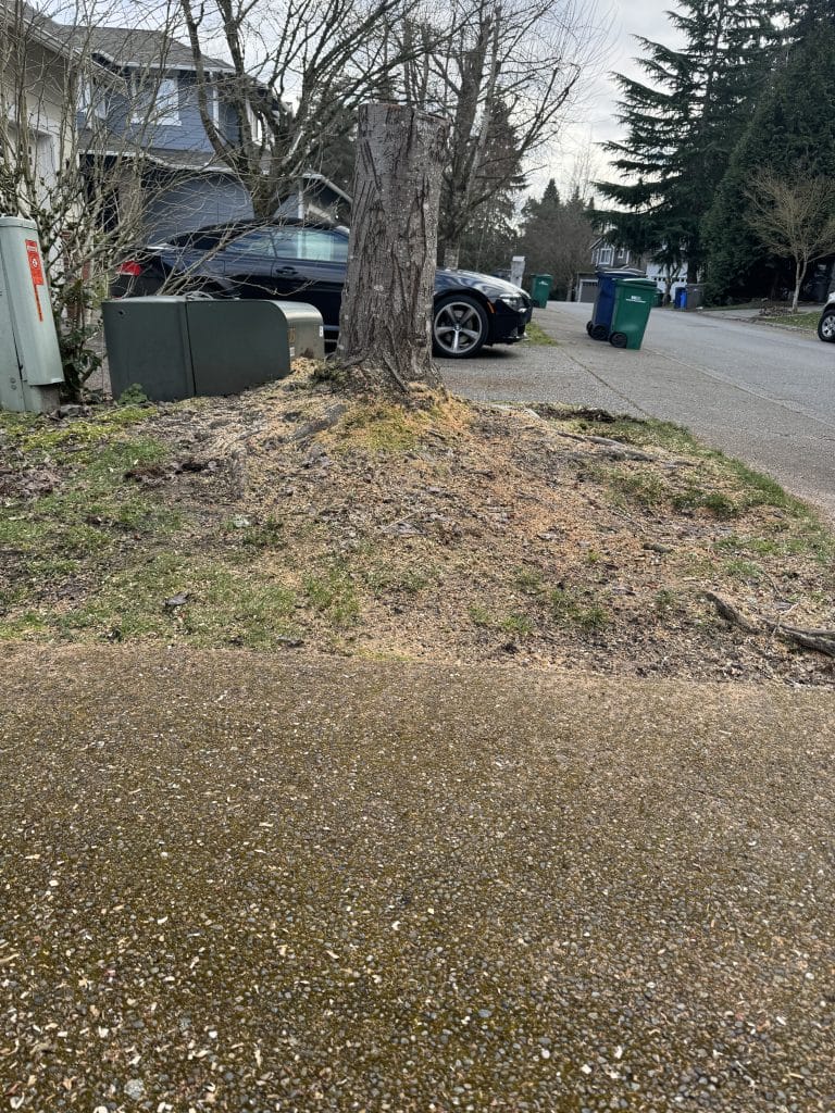 kirkland utility vault stump grinding before